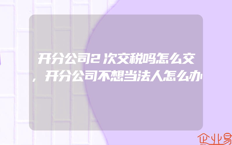 开分公司2次交税吗怎么交,开分公司不想当法人怎么办