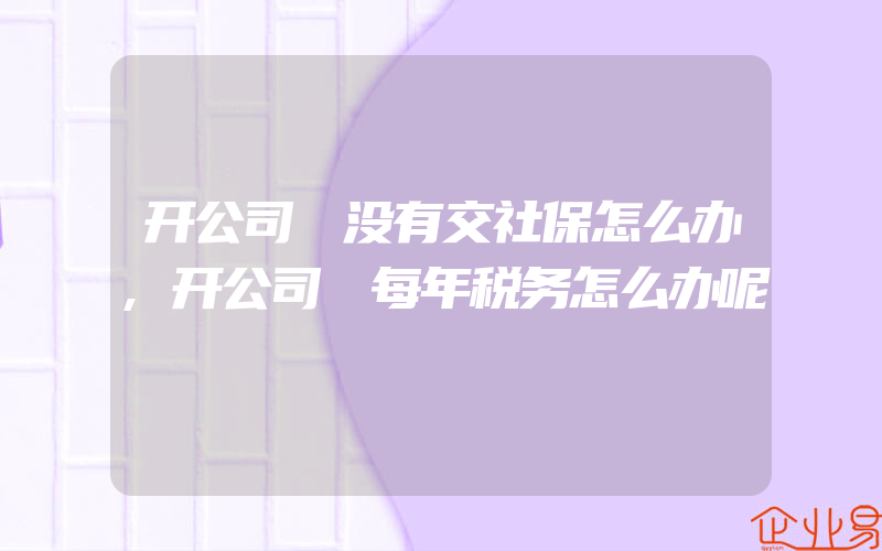 开公司 没有交社保怎么办,开公司 每年税务怎么办呢