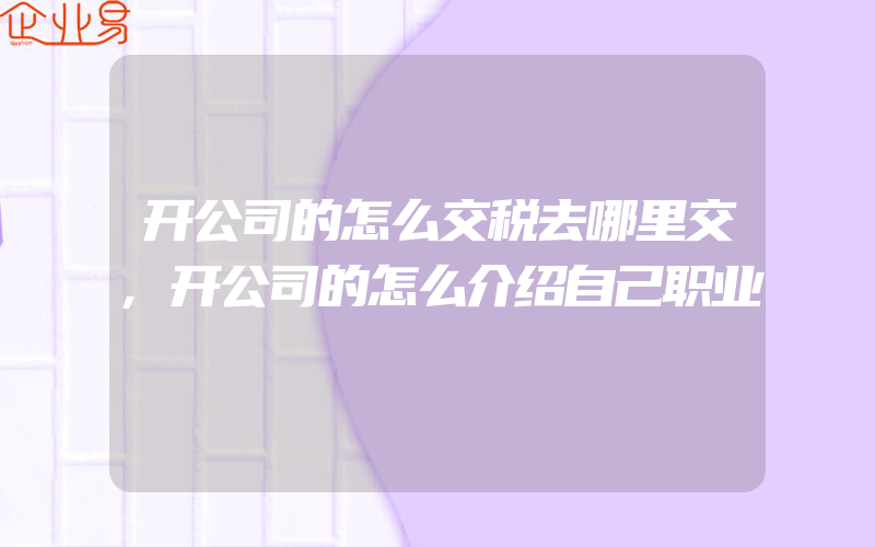 开公司的怎么交税去哪里交,开公司的怎么介绍自己职业