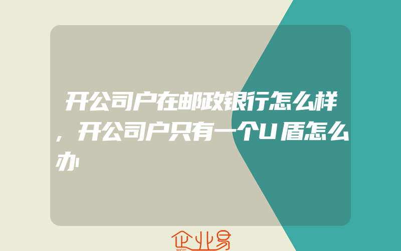 开公司户在邮政银行怎么样,开公司户只有一个U盾怎么办