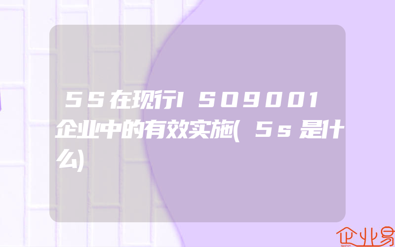 5S在现行ISO9001企业中的有效实施(5s是什么)