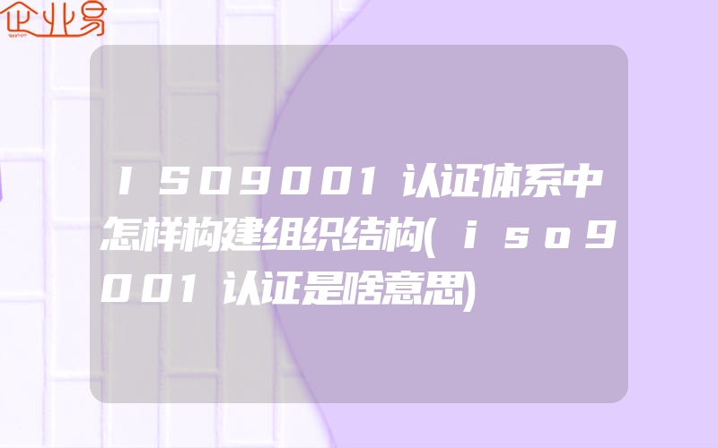 ISO9001认证体系中怎样构建组织结构(iso9001认证是啥意思)