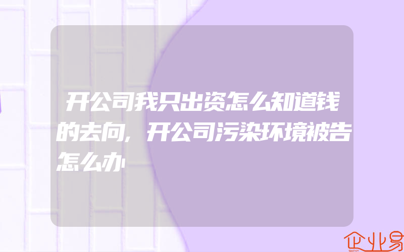 开公司我只出资怎么知道钱的去向,开公司污染环境被告怎么办