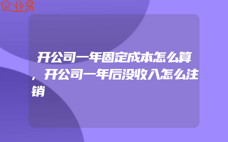 开公司一年固定成本怎么算,开公司一年后没收入怎么注销