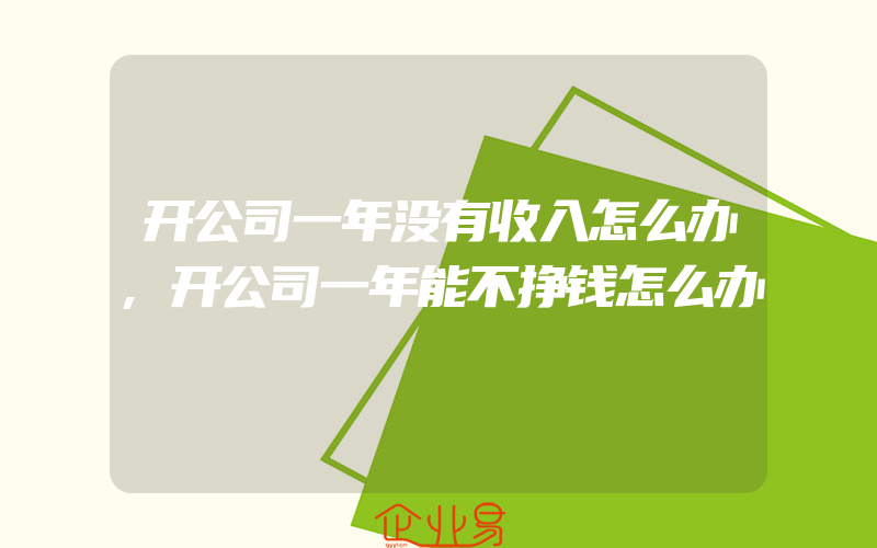 开公司一年没有收入怎么办,开公司一年能不挣钱怎么办