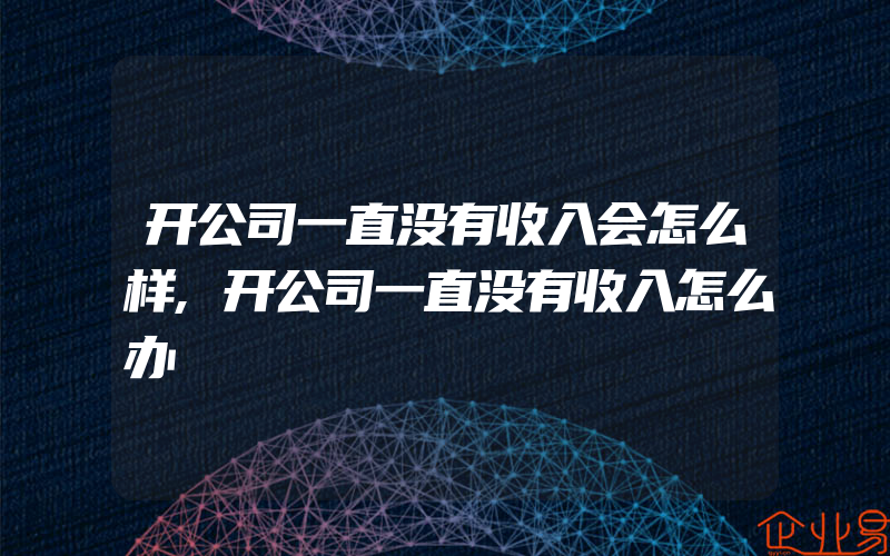 开公司一直没有收入会怎么样,开公司一直没有收入怎么办