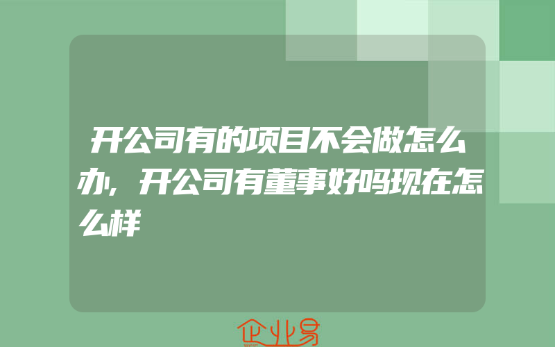 开公司有的项目不会做怎么办,开公司有董事好吗现在怎么样