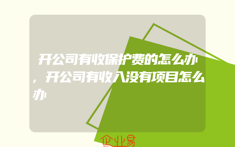 开公司有收保护费的怎么办,开公司有收入没有项目怎么办