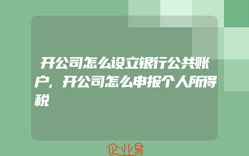 开公司怎么设立银行公共账户,开公司怎么申报个人所得税