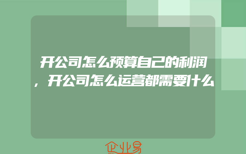 开公司怎么预算自己的利润,开公司怎么运营都需要什么