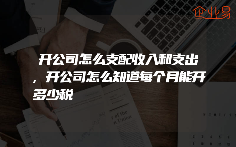 开公司怎么支配收入和支出,开公司怎么知道每个月能开多少税