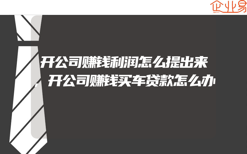 开公司赚钱利润怎么提出来,开公司赚钱买车贷款怎么办