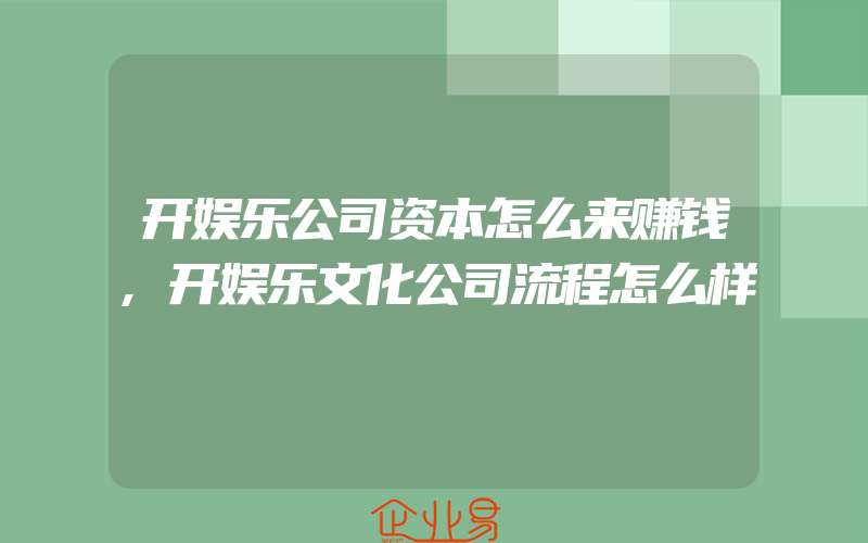 开娱乐公司资本怎么来赚钱,开娱乐文化公司流程怎么样