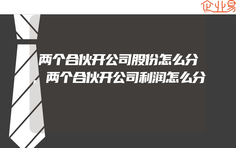 两个合伙开公司股份怎么分,两个合伙开公司利润怎么分