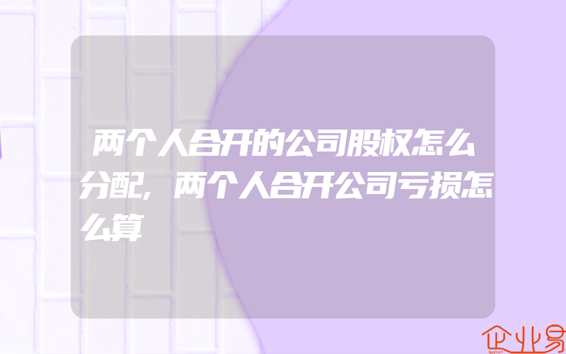 两个人合开的公司股权怎么分配,两个人合开公司亏损怎么算