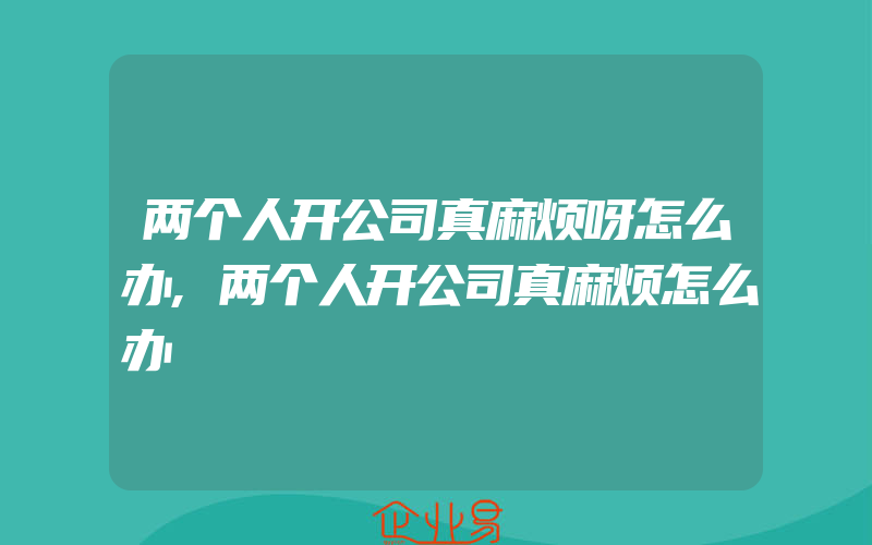 两个人开公司真麻烦呀怎么办,两个人开公司真麻烦怎么办