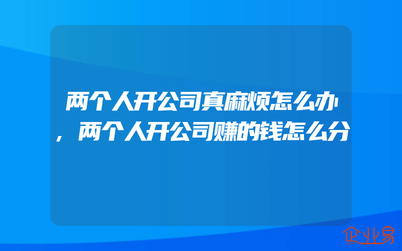 两个人开公司真麻烦怎么办,两个人开公司赚的钱怎么分