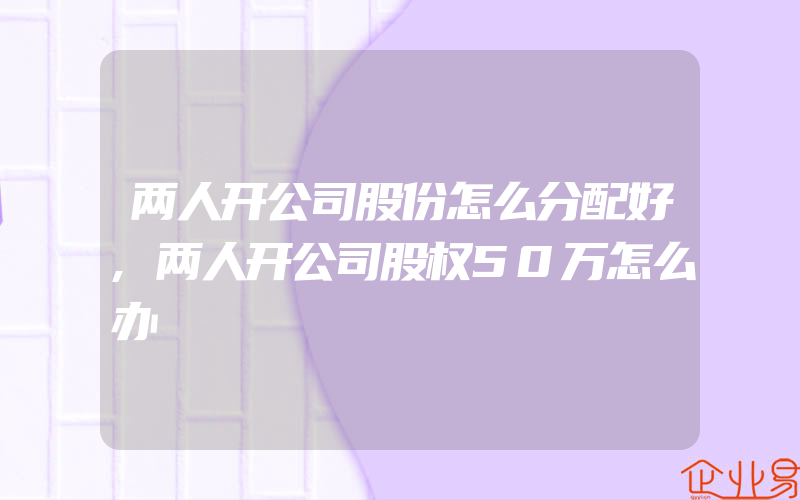 两人开公司股份怎么分配好,两人开公司股权50万怎么办