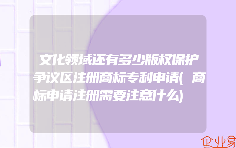 文化领域还有多少版权保护争议区注册商标专利申请(商标申请注册需要注意什么)