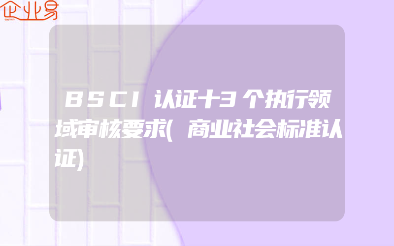 BSCI认证十3个执行领域审核要求(商业社会标准认证)