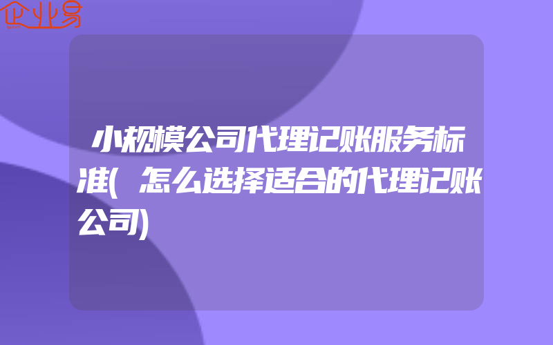 小规模公司代理记账服务标准(怎么选择适合的代理记账公司)