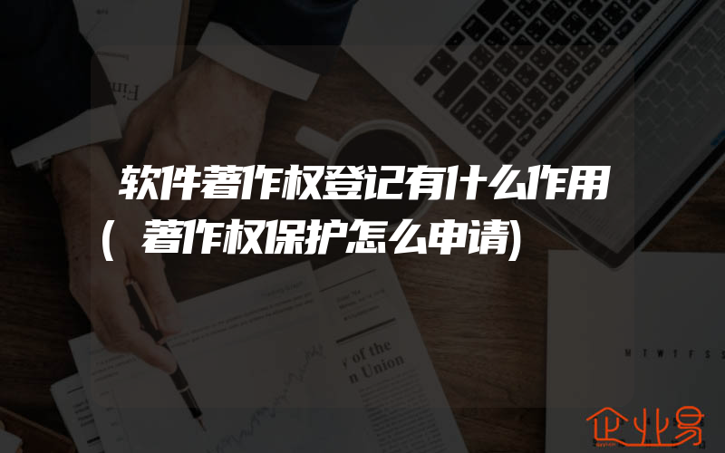 高校就业补贴金查询指南：如何快速了解金额及查询流程