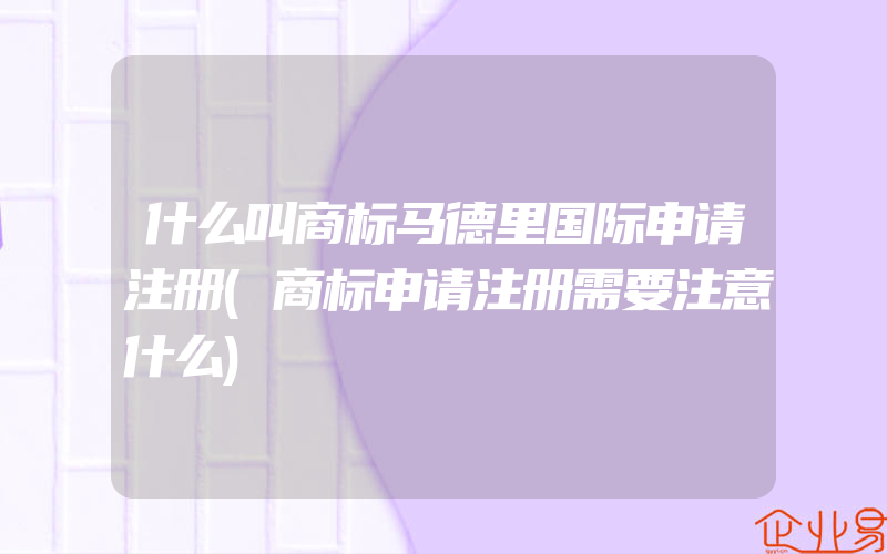 什么叫商标马德里国际申请注册(商标申请注册需要注意什么)