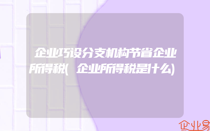 企业巧设分支机构节省企业所得税(企业所得税是什么)