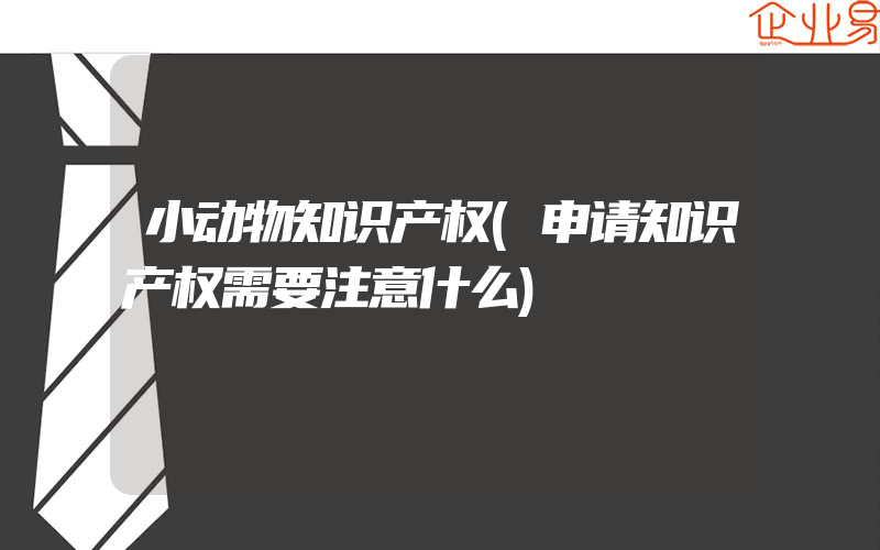 小动物知识产权(申请知识产权需要注意什么)