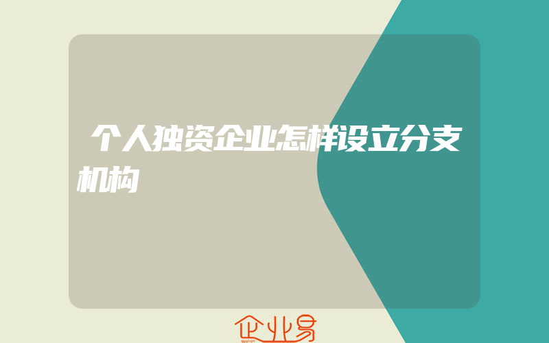 个人独资企业怎样设立分支机构