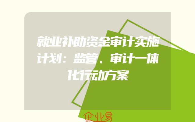 就业补助资金审计实施计划：监管、审计一体化行动方案