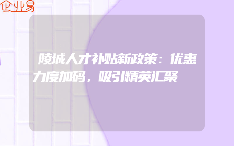 陵城人才补贴新政策：优惠力度加码，吸引精英汇聚