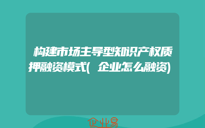 构建市场主导型知识产权质押融资模式(企业怎么融资)