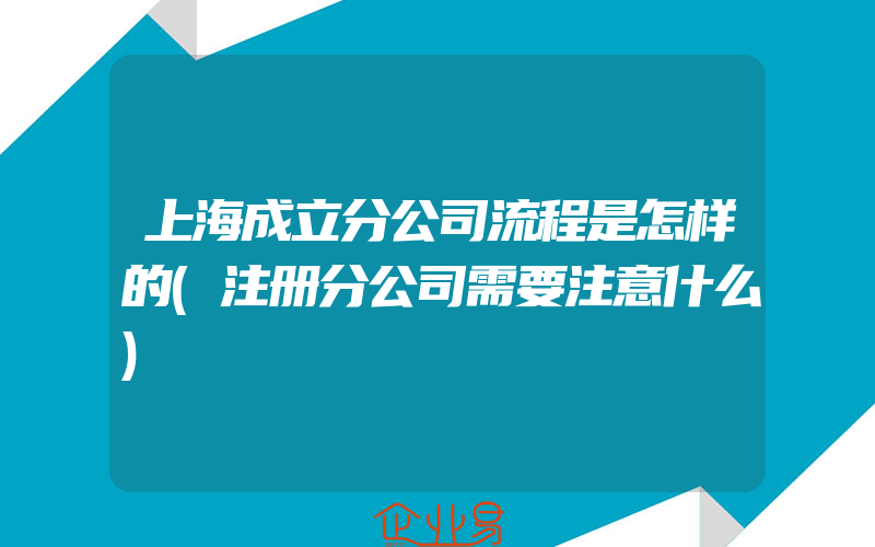 上海成立分公司流程是怎样的(注册分公司需要注意什么)