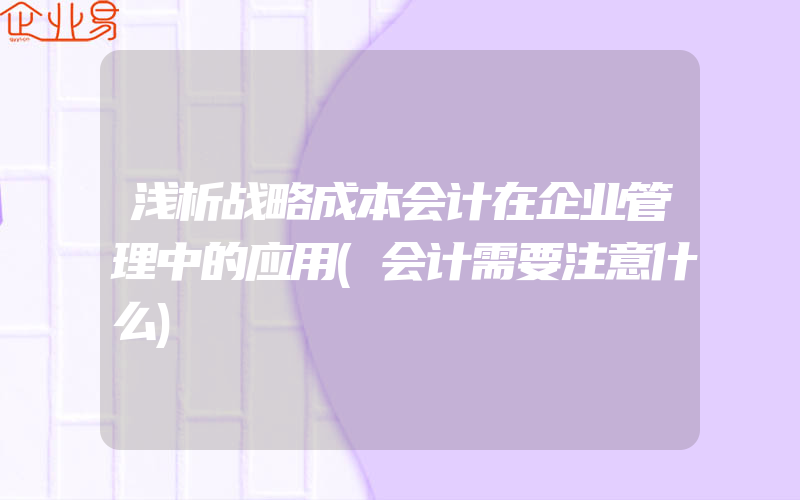 浅析战略成本会计在企业管理中的应用(会计需要注意什么)