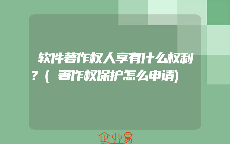 软件著作权人享有什么权利?(著作权保护怎么申请)