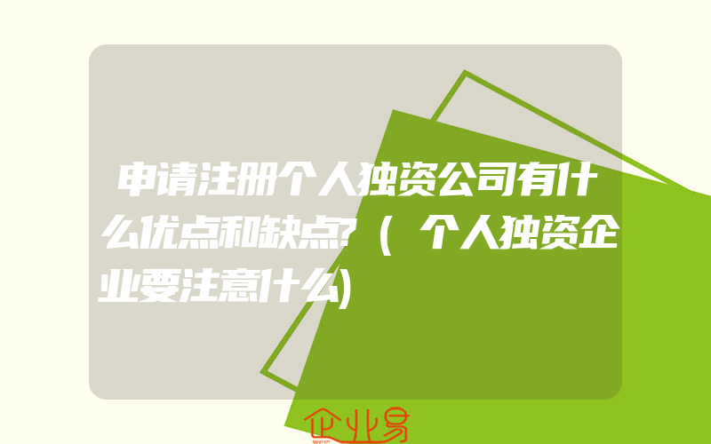 申请注册个人独资公司有什么优点和缺点?(个人独资企业要注意什么)