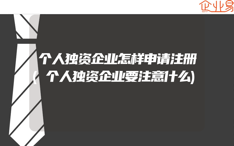 个人独资企业怎样申请注册(个人独资企业要注意什么)