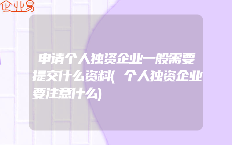 申请个人独资企业一般需要提交什么资料(个人独资企业要注意什么)