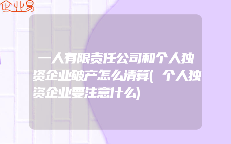 一人有限责任公司和个人独资企业破产怎么清算(个人独资企业要注意什么)