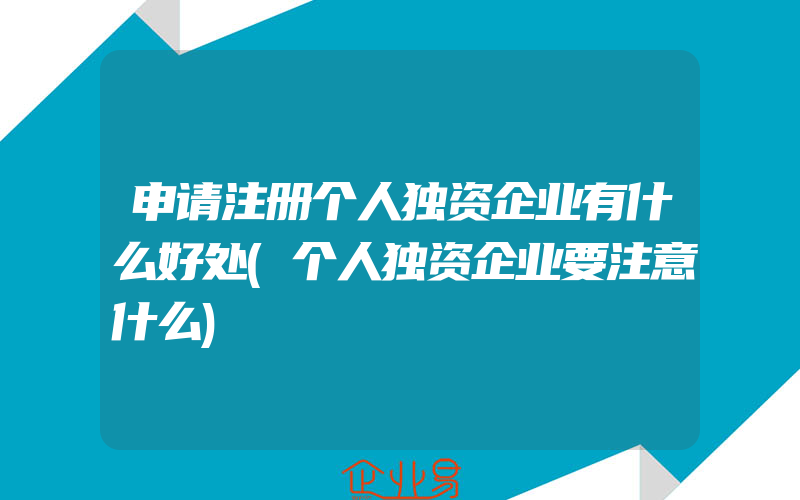 申请注册个人独资企业有什么好处(个人独资企业要注意什么)