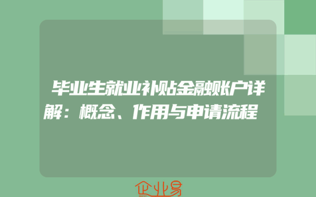 毕业生就业补贴金融账户详解：概念、作用与申请流程