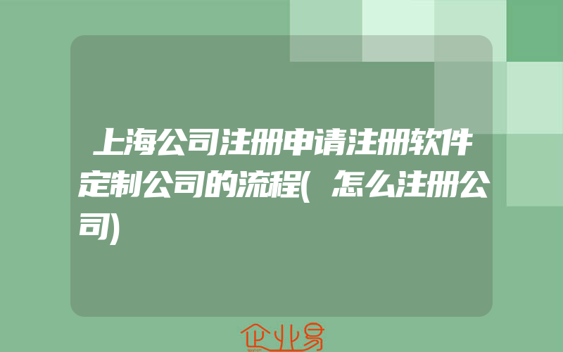 上海公司注册申请注册软件定制公司的流程(怎么注册公司)