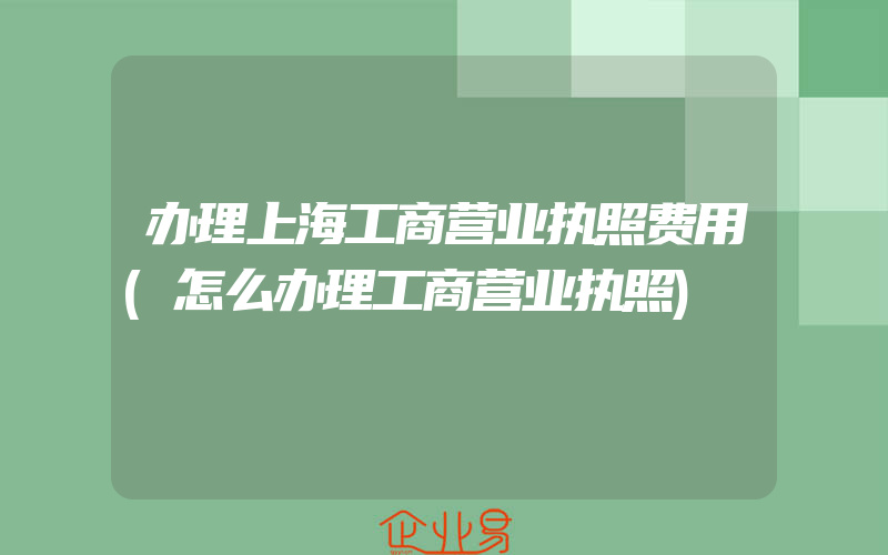 办理上海工商营业执照费用(怎么办理工商营业执照)