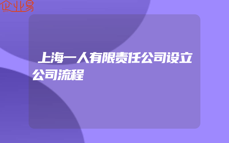 上海一人有限责任公司设立公司流程