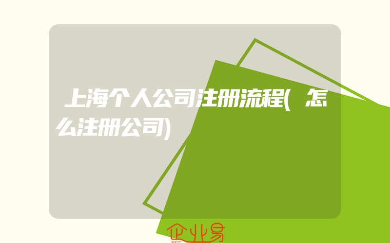 上海个人公司注册流程(怎么注册公司)