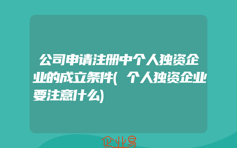 公司申请注册中个人独资企业的成立条件(个人独资企业要注意什么)