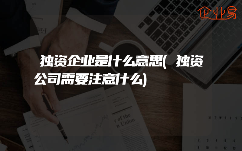 独资企业是什么意思(独资公司需要注意什么)