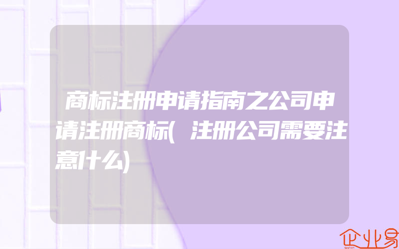 商标注册申请指南之公司申请注册商标(注册公司需要注意什么)