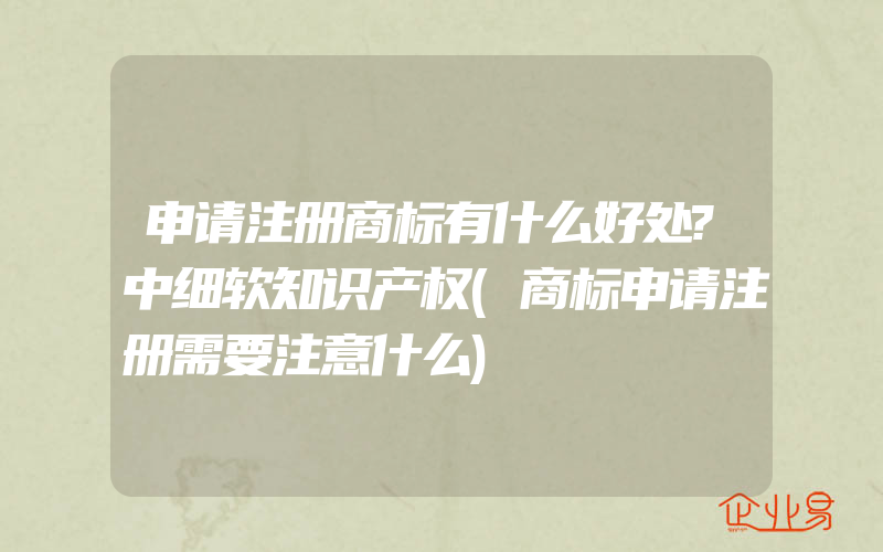 申请注册商标有什么好处?中细软知识产权(商标申请注册需要注意什么)